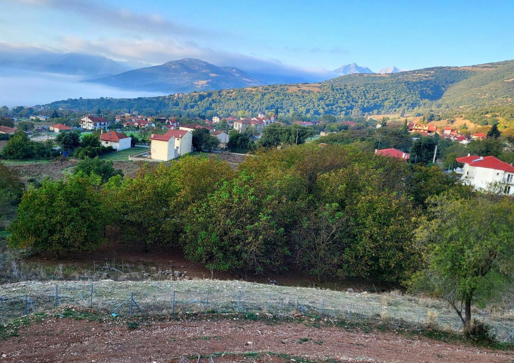 Τα Πέτρινα Στο Σκεπαστό Villa Kalavryta Dış mekan fotoğraf